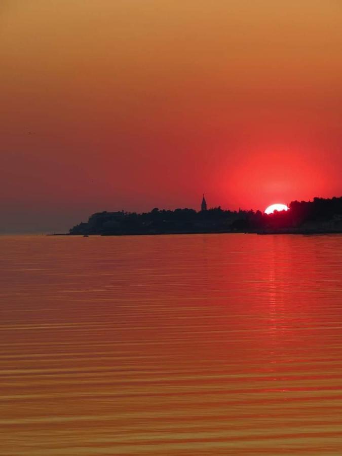 Apartments Roberta Novigrad Istria Esterno foto