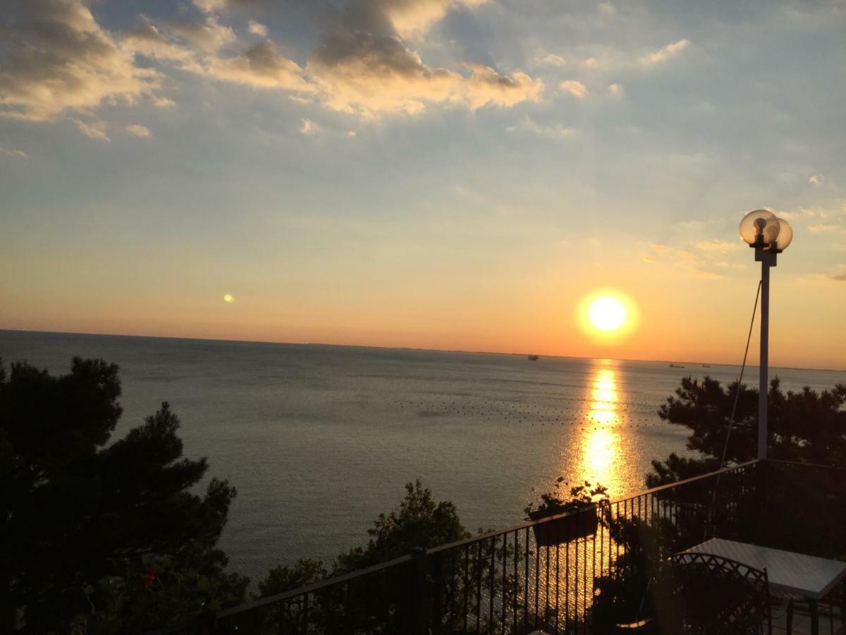 Apartments Roberta Novigrad Istria Esterno foto