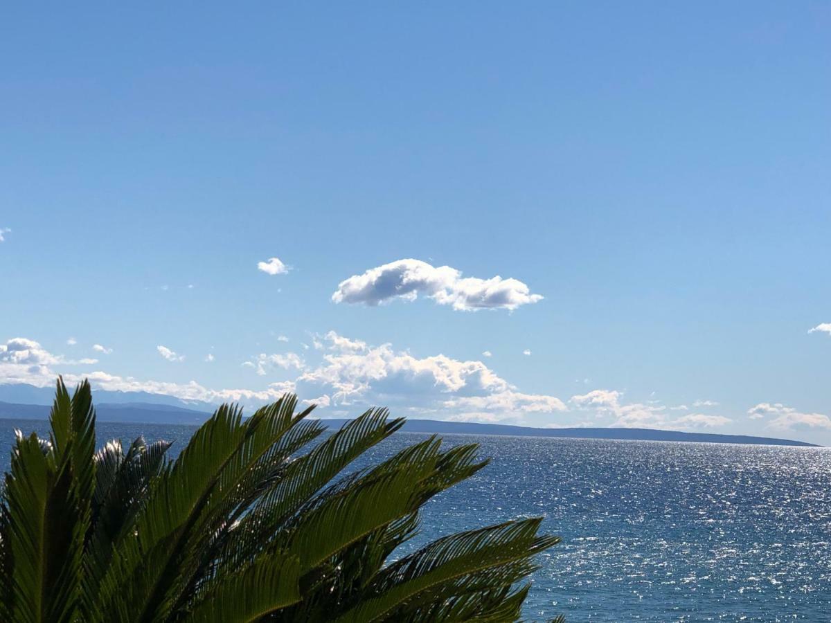 Apartments Roberta Novigrad Istria Esterno foto