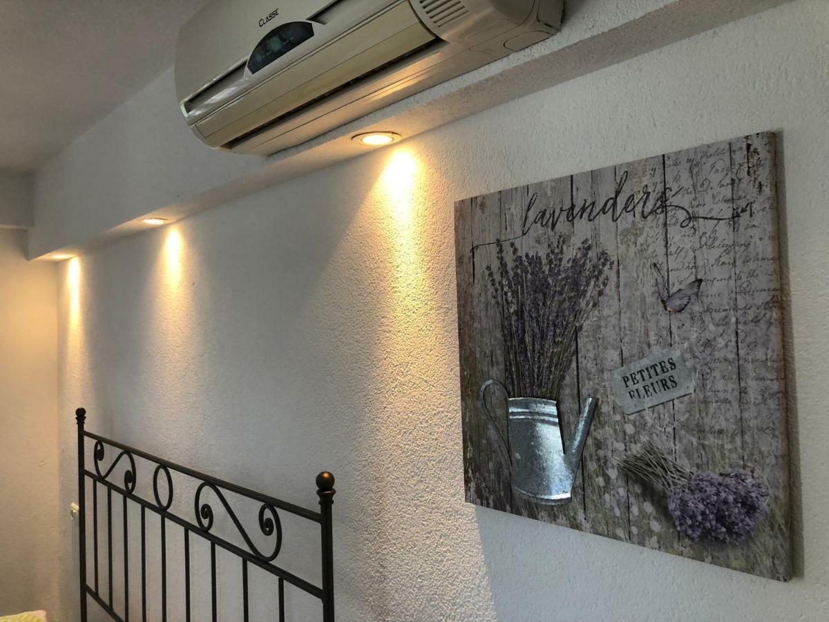 Apartments Roberta Novigrad Istria Esterno foto